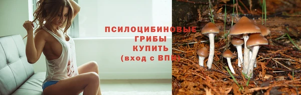 прущие крисы Алзамай