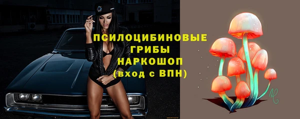 амф Алексин