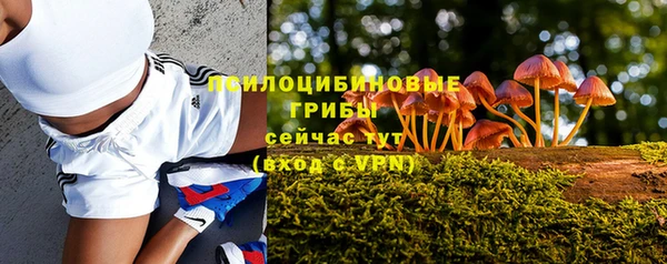 гидра Алексеевка