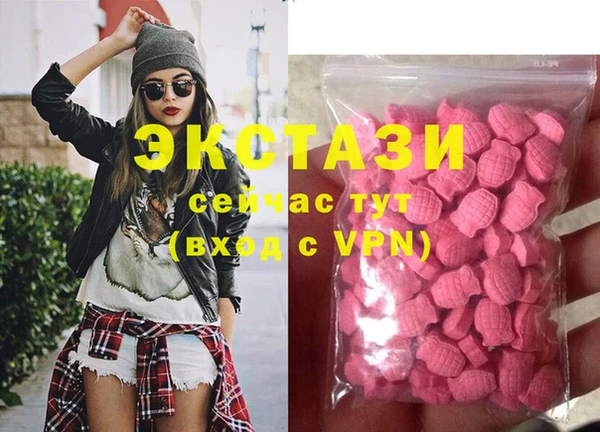 гидра Алексеевка