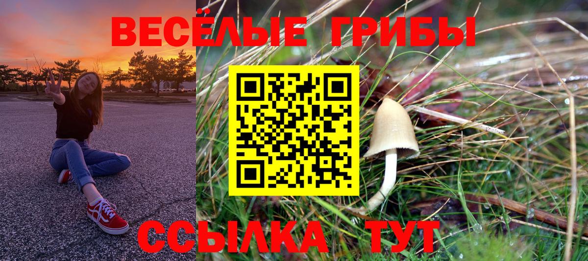 Галлюциногенные грибы MAGIC MUSHROOMS  Вход с VPN  закладки  Джанкой 